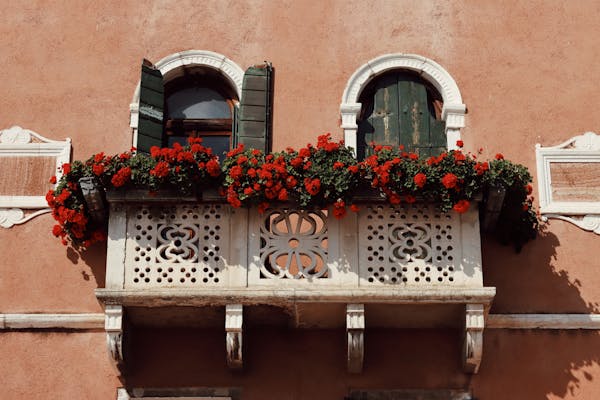 May: A Month of Joy, Grief, Fear, and Hope